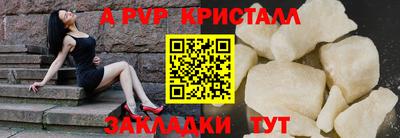 мяу мяу мука Гатчина