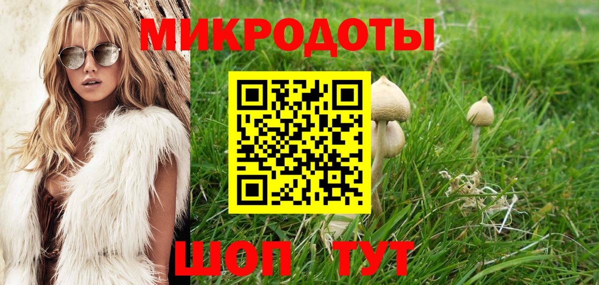 Москва  Псилоцибиновые грибы прущие грибы  Вход с VPN 